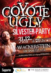 Coyote Silvester Party 2011